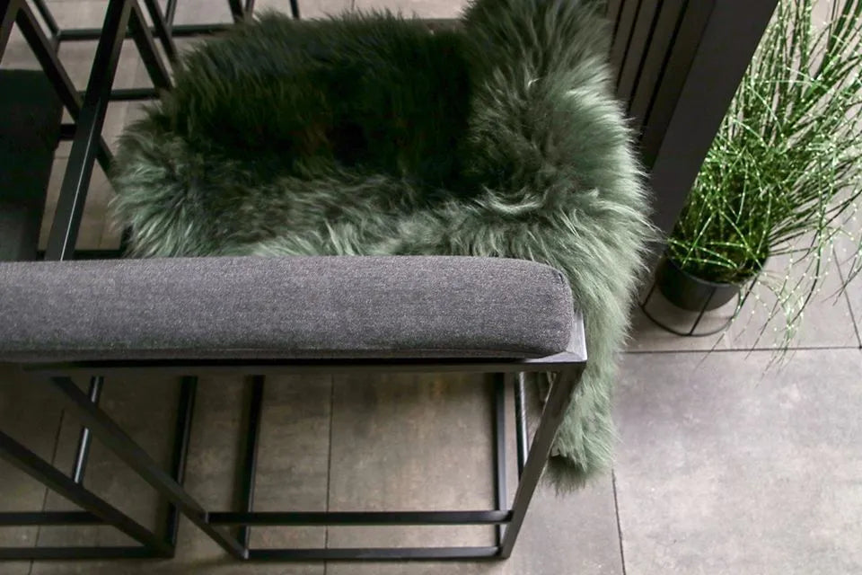 Fonteyn | Cali Barset | Sooty