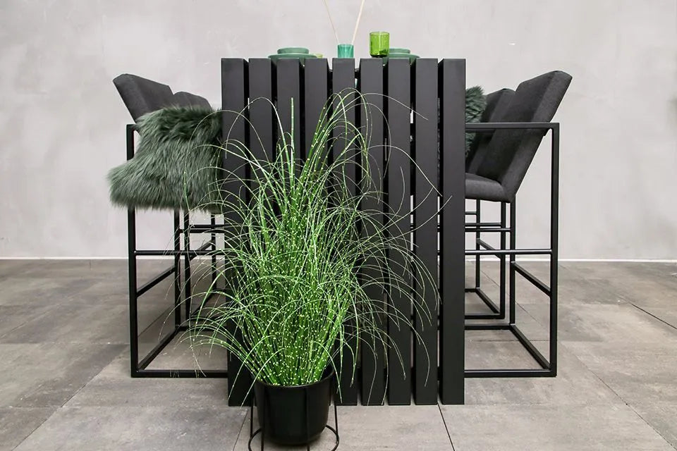 Fonteyn | Cali Barset | Sooty