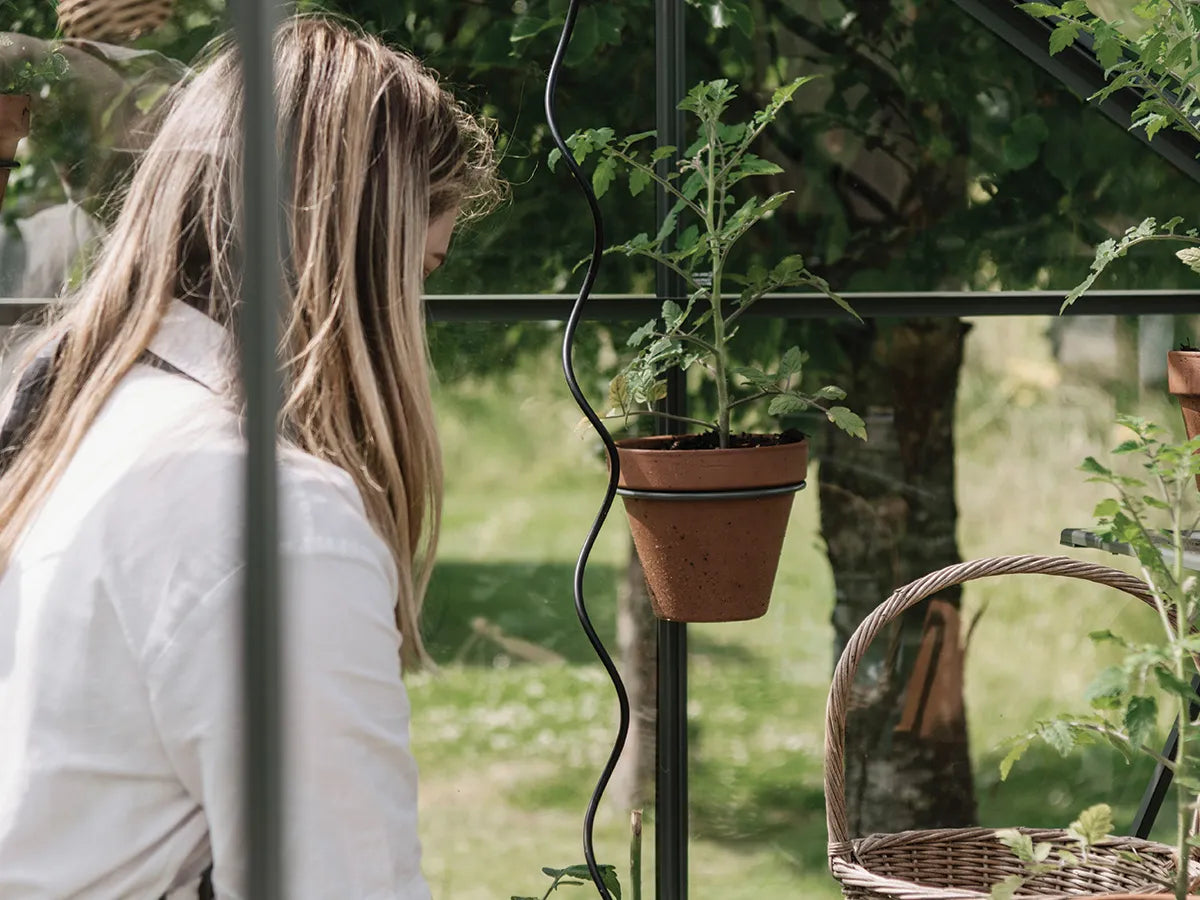 Royal Well | Tomatenspiraal | Set van 4