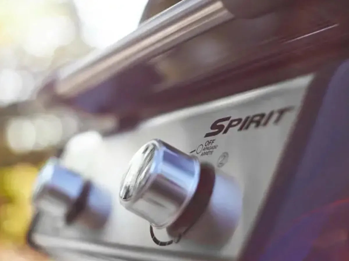Weber | Spirit E-215 | GBS