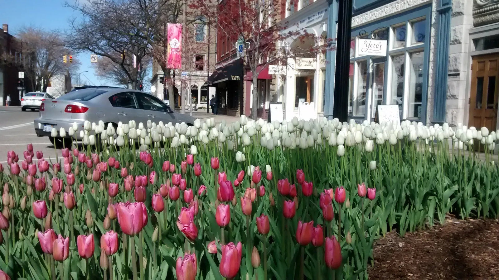 Tulips & Hot Tubs: The Dutch Connection