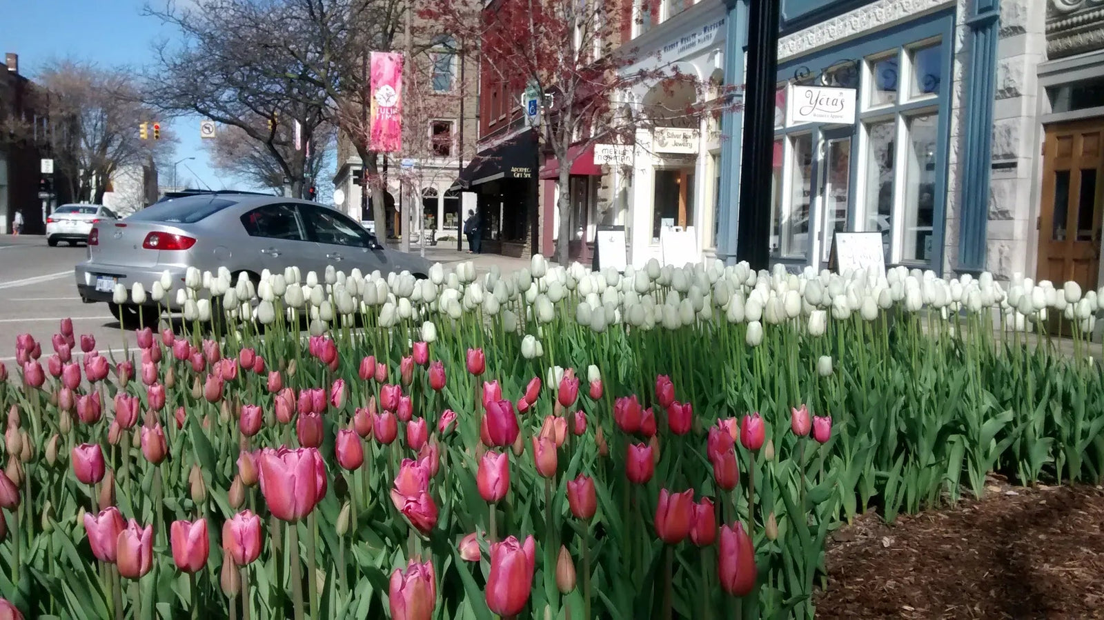 Tulips & Hot Tubs: The Dutch Connection