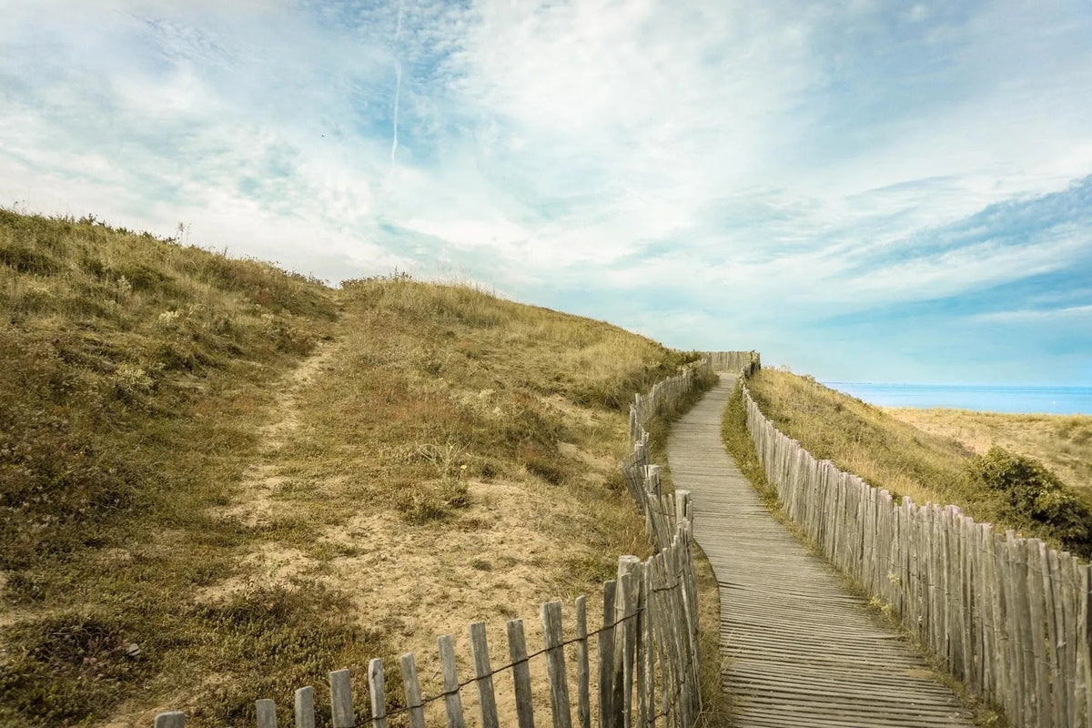 Zandpad met houten hek door de duinen.