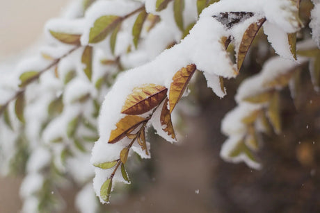 Zo reken je af met de winterblues