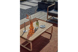 Apple Bee | Dolce Koffietafel 120 x 65 x 40 cm