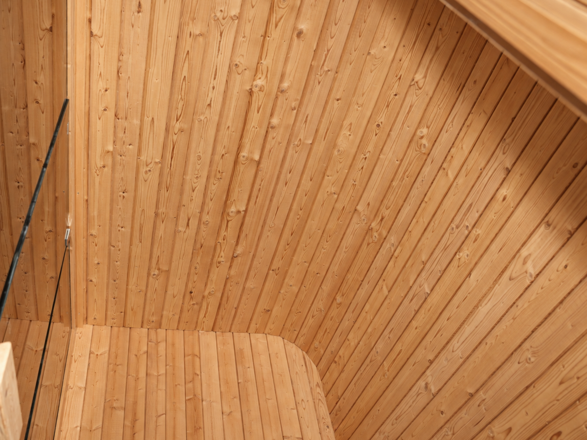 Detail van de houten buitenwand en het afgeronde dak van de Passion Cube Luxury 300 Multiroom sauna.
