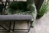 Fonteyn | Cali Barset | Sooty