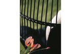 Fonteyn | Elsa Hangstoel | Black