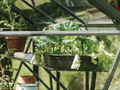 Royal Well | Schap Kate IV Tuinkas | Groengrijs
