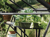 Royal Well | Schap Kate IV Tuinkas | Zwart