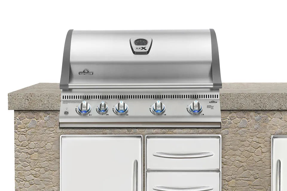 Napoleon | Lex 605 | RVS Built-In